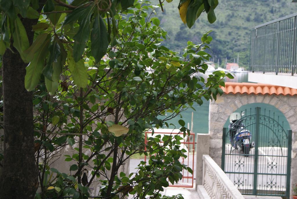 Apartment Kotor-Andrija Jovanovic الغرفة الصورة